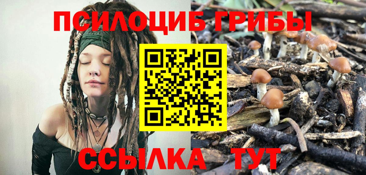 Ртищево  Псилоцибиновые грибы Magic Shrooms  Вход с VPN 