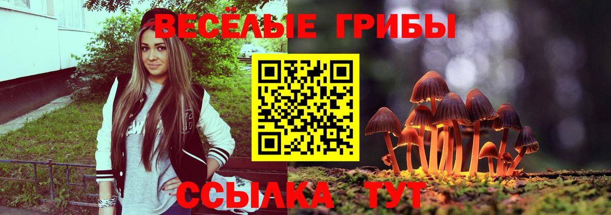 Галлюциногенные грибы Cubensis Ртищево